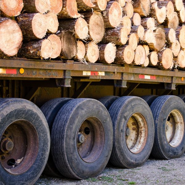 Pine,Logs,Stacked,On,A,Flat,Bed,Trailer.